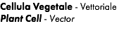 Cellula Vegetale - Vettoriale Plant Cell - Vector 